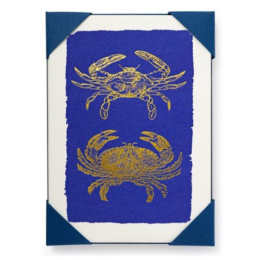 Pack of Crab Note Cards