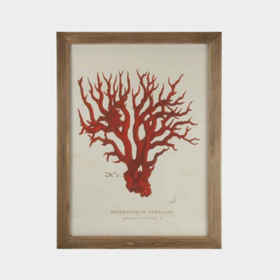 Red Coral Vintage Print