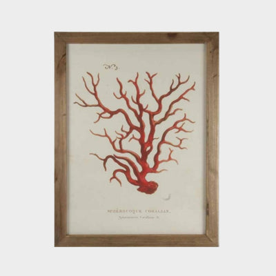 Red Coral Vintage Print