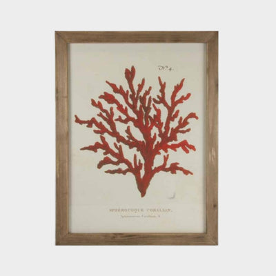 Red Coral Vintage Print