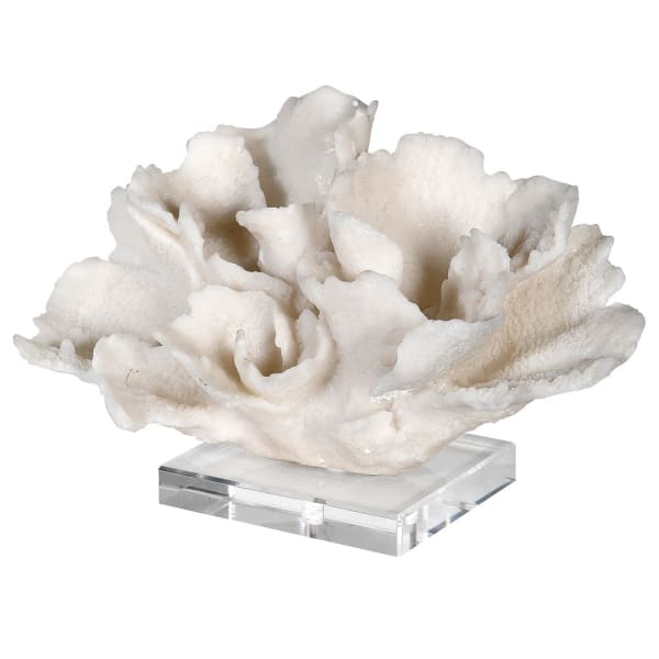 Coral on Glass stand