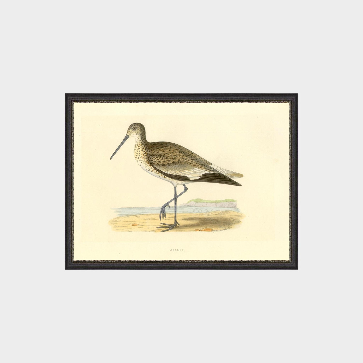 Waders by Charles Robert Bree (1811 - 1886)