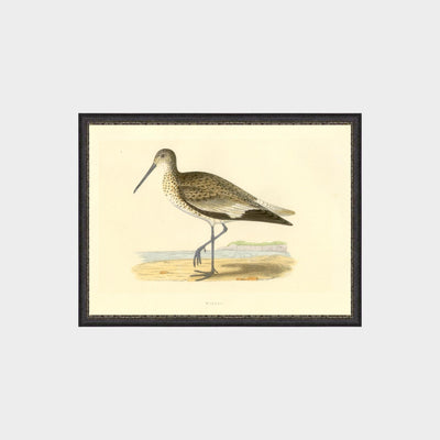 Waders by Charles Robert Bree (1811 - 1886)